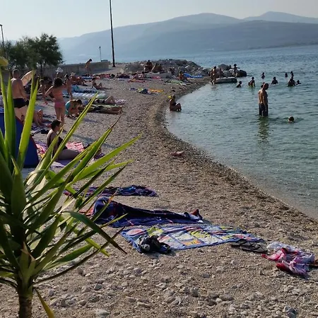 Roza Trogir